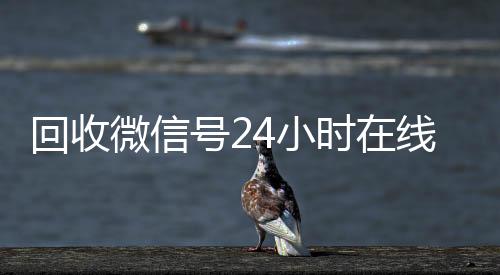 回收微信号24小vx回收联系方式时在线秒结（回收微信号网站）
